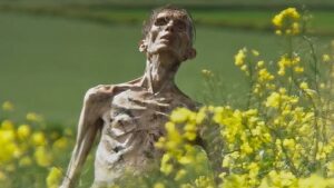 plongez dans l'univers fascinant de boyle garland, une exploration captivante de l'art et de la culture médiévale. découvrez les récits enchanteurs et les personnages emblématiques qui ont marqué cette époque, tout en appréciant les œuvres et les traditions qui font vivre ce patrimoine.