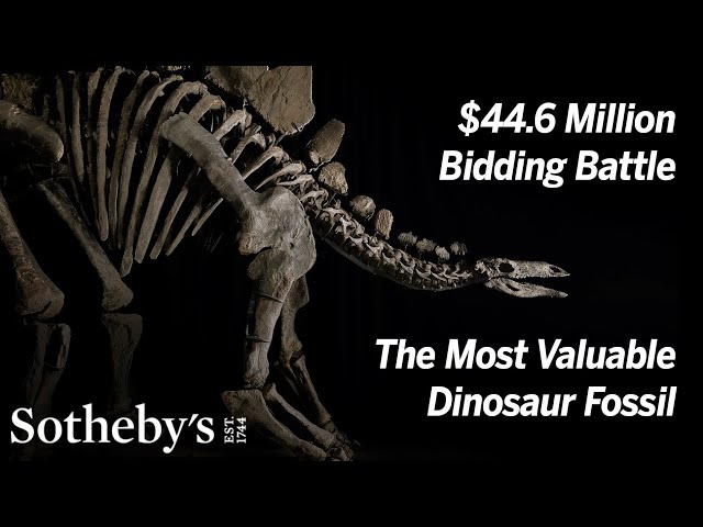 découvrez la vente exceptionnelle de fossiles de dinosaures durant la geek week à new york : pièces authentiques, objets rares et souvenirs uniques pour passionnés de paléontologie et collectionneurs geeks !