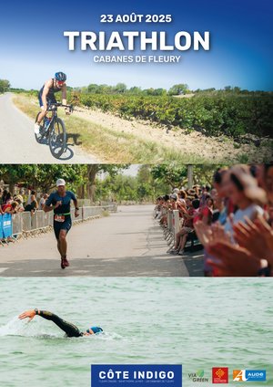 découvrez les statistiques clés des triathlons : performances, participation, records et tendances pour mieux comprendre ce sport d'endurance populaire.